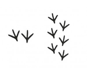 Stickdatei - Fußspuren Vogel